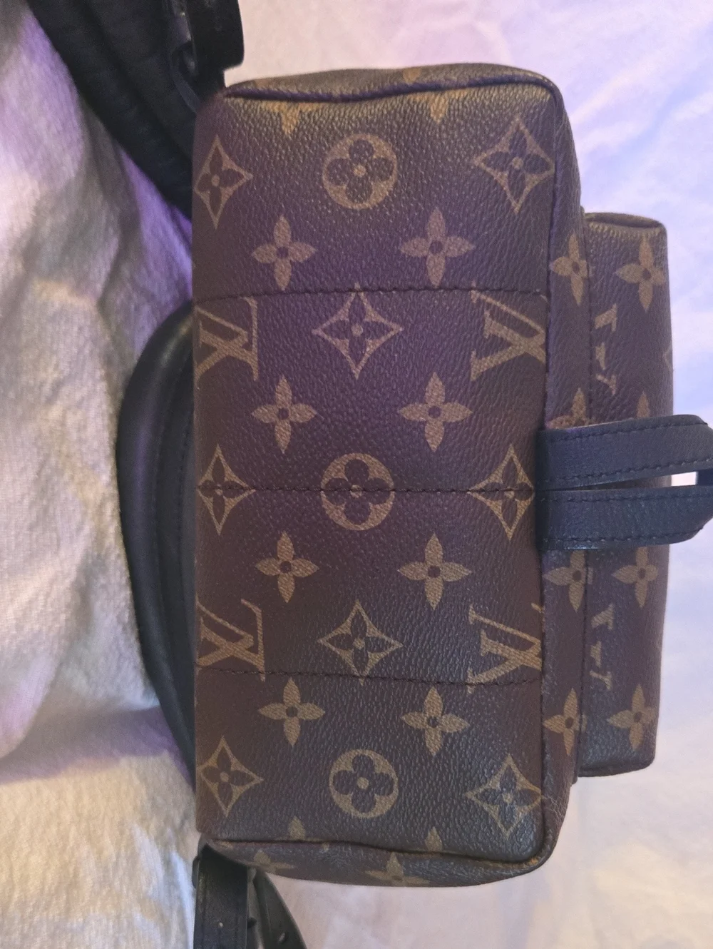 🔥🔥🔥Authentic Louis Vuitton Monogram Palm Springs Backpack PM